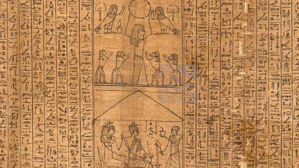 🔺 کشف طوماری از طلسم‌های «کتاب مردگان» متعلق به ۳۵۰۰ سال پیش در مصر/ عکس