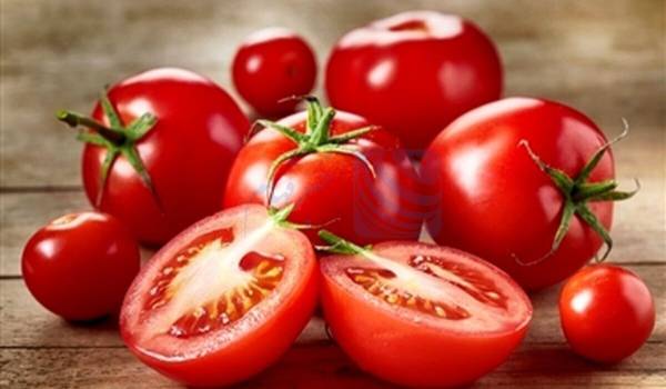 🔺 قیمت گوجه بیشتر می‌شود؟ / دلایل افزایش قیمت گوجه از زبان عضو هیات مدیره اتحادیه بارفروشان