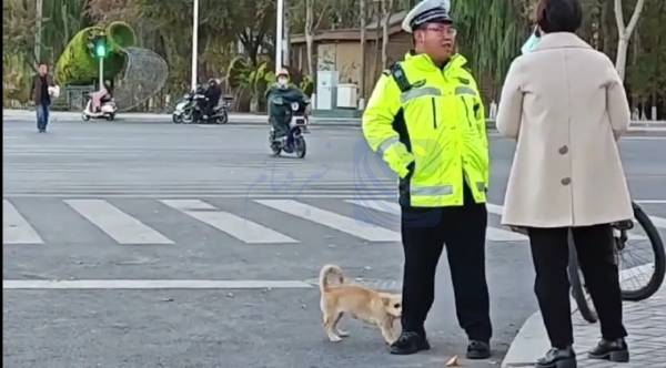 🔺 فیلم| سگی که پاچه پلیس راهنمایی و رانندگی را رها نمی‌کند!