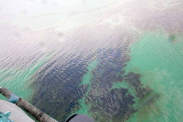 🔺 «آلودگی نفتی»؛ مهم‌ترین موضوع برای همکاری‌های زیست‌محیطی حوضه خلیج فارس